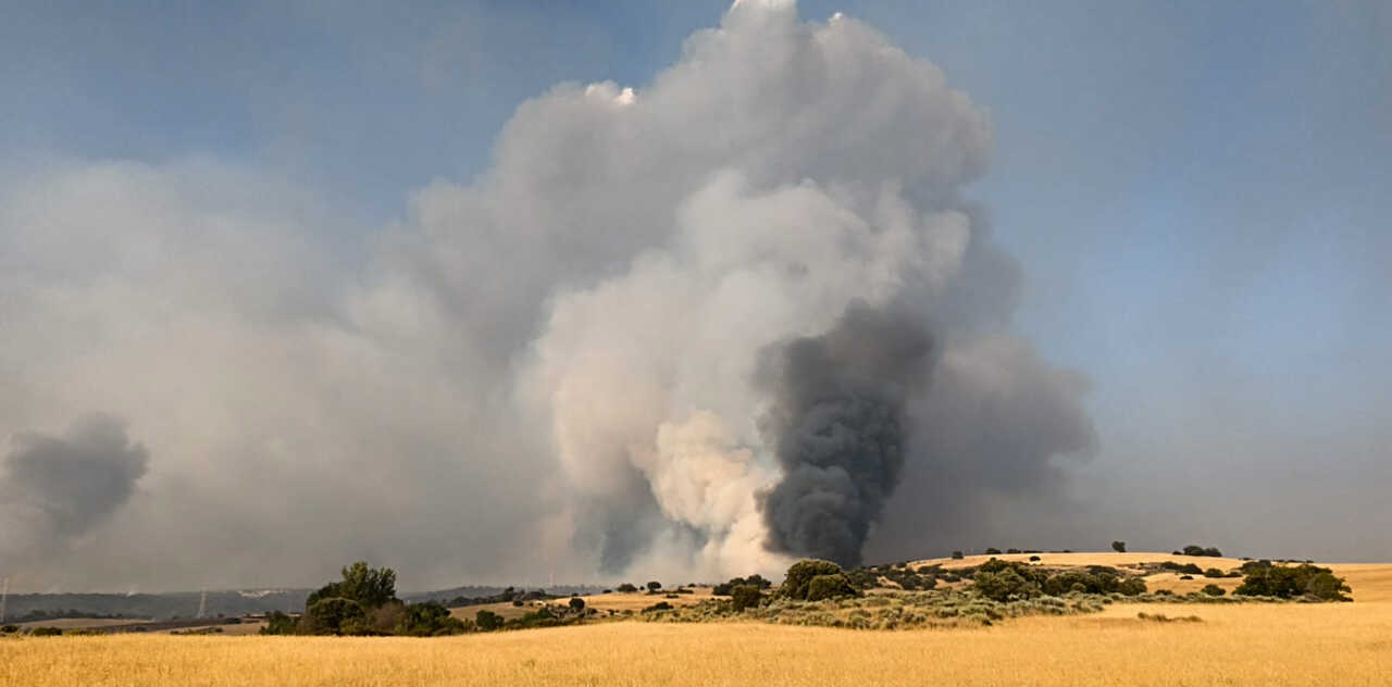 crónica fuego fermoselle