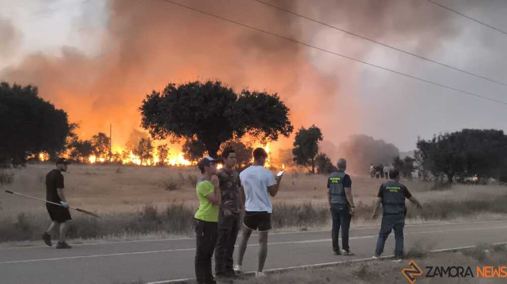 FERMOSELLE FUEGO SAYAGO _43