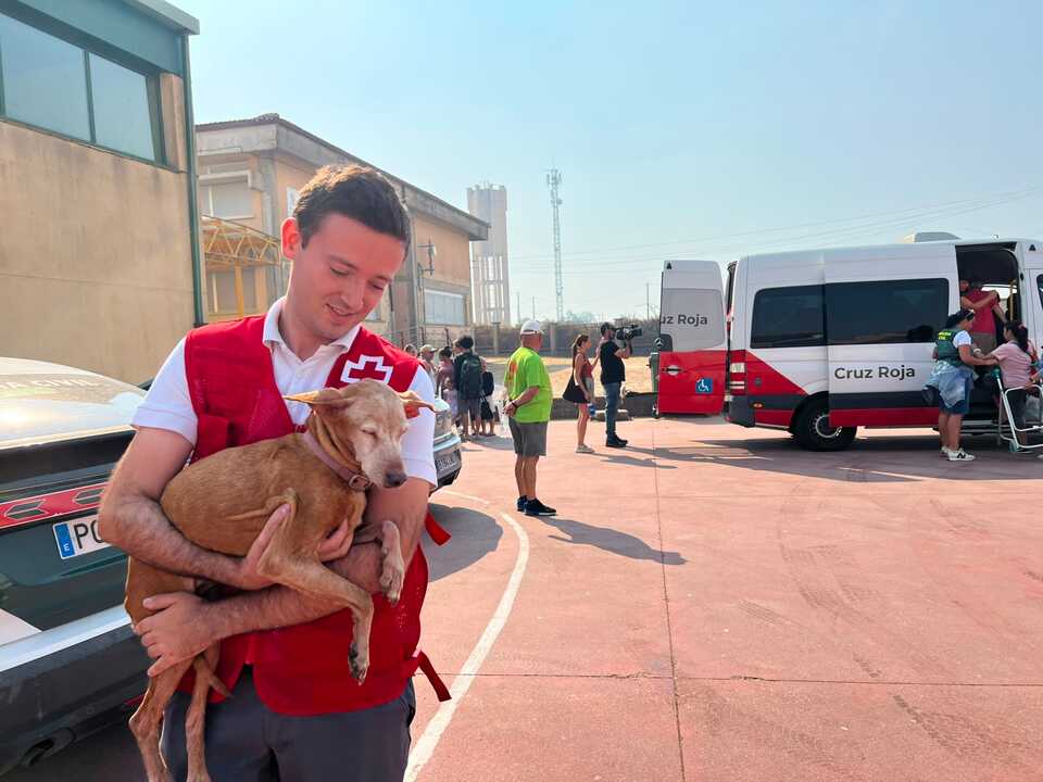 Apoyo a mascotas