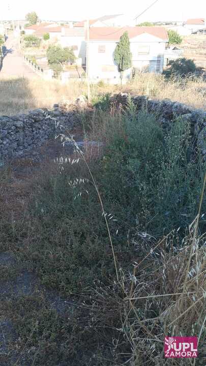 callejones y solares en Almeida de Sayago  (2)