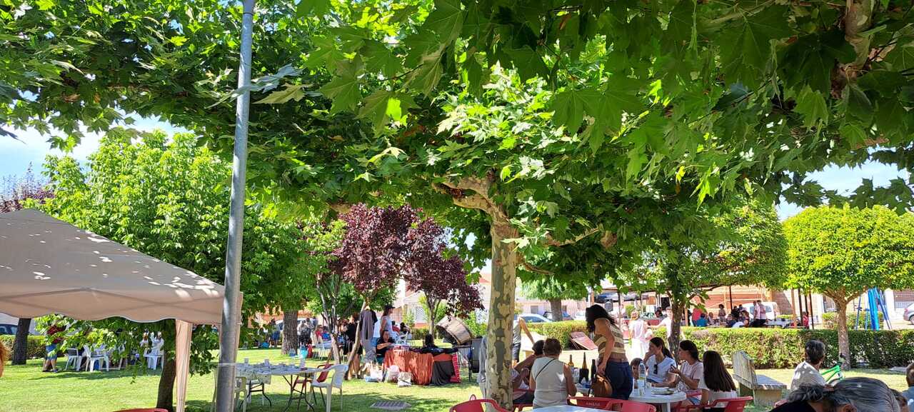 Pozuelo de Vidriales convierte el pulpo en el gran protagonista de una cita que reúne a 300 comensales (1)