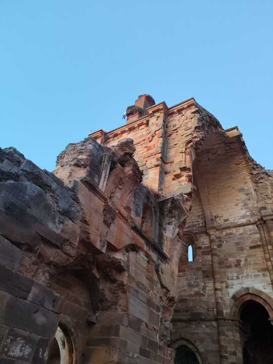 Cigüeña